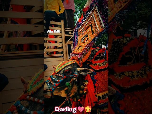 MAKE VIRAL SHORT Alluedit SMS GARUDA2024 #shorts#shortsviral#youtubeshorts🫥