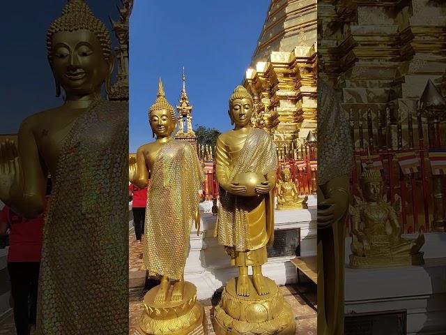 Golden Buddha temple at Doi Suthep Chiangmai #respect #thailand #buddha #mustwatch