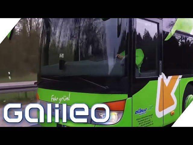 Flixbus - 4 Gründe, warum Fernbusfahrten so billig sind | Galileo | ProSieben