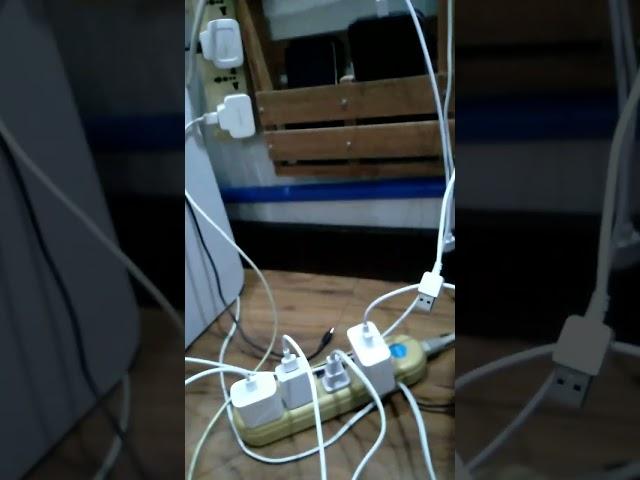 extra gadget suitable 1 - short