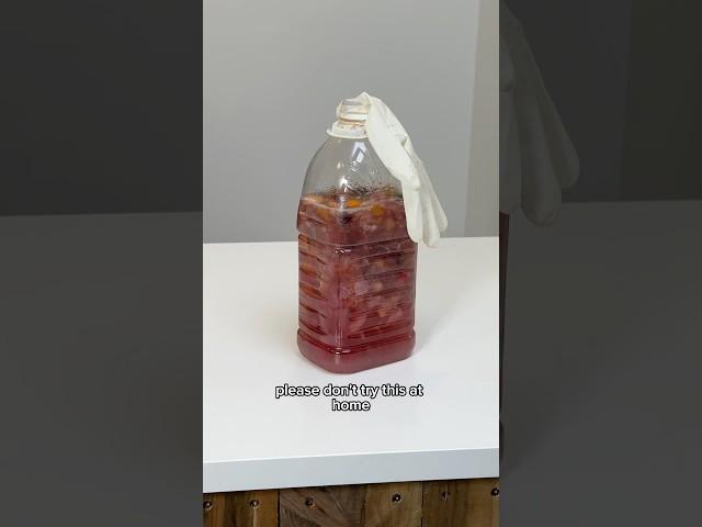 PRISON WINE UPDATE