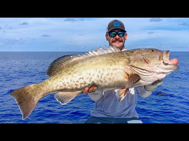 INSANE Offshore Bottom Fishing GIANT Gag Grouper (50+ Miles Out Tampa Bay)