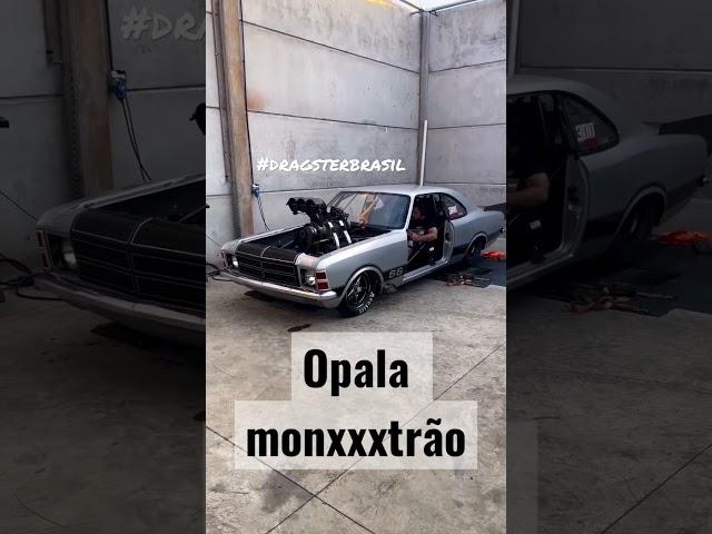 Opala V8 blower #opala #v8 #blower #shorts #dragsterbrasil #pascoaldragster #proauto