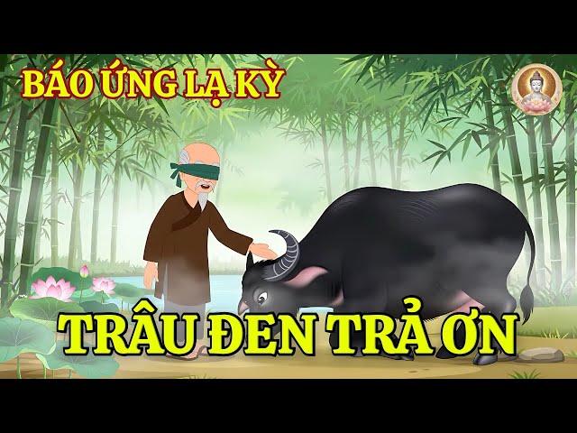 Ông Lão Mù Cứu Trâu Đen Giữa Rừng – 10 Năm Sau Nhận Quả Báo Bất Ngờ | Hoạt Hình Nhân Quả Báo Ứng
