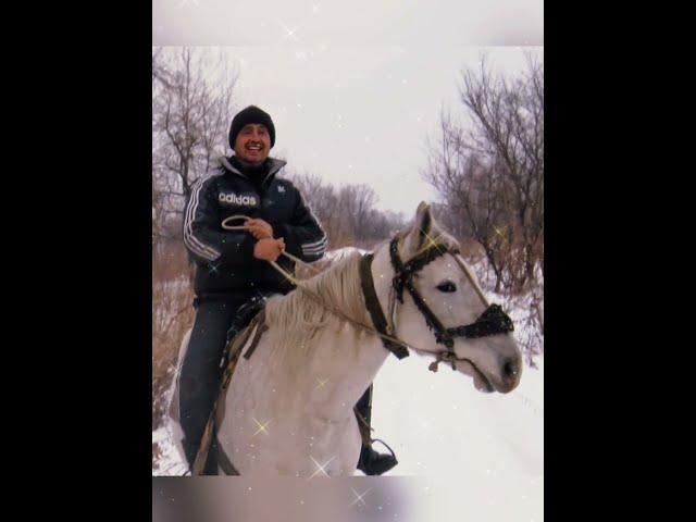 Песня! Зима, лошадь,всадник