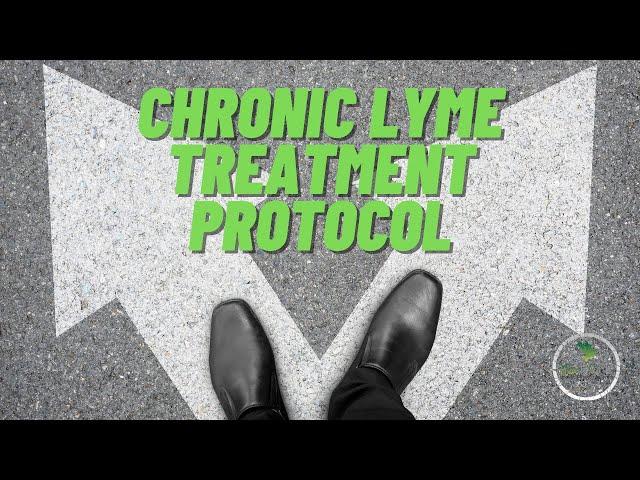 What does a typical Lyme treatment protocol look like?