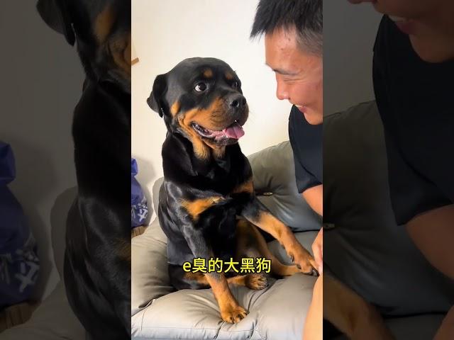 拉登:亮～你怎么也说！ #拉登与阿亮的日常生活