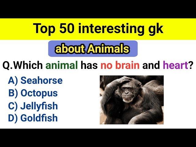 Interesting gk questions about animals || Interesting gk part 9 || Let's Know Everything