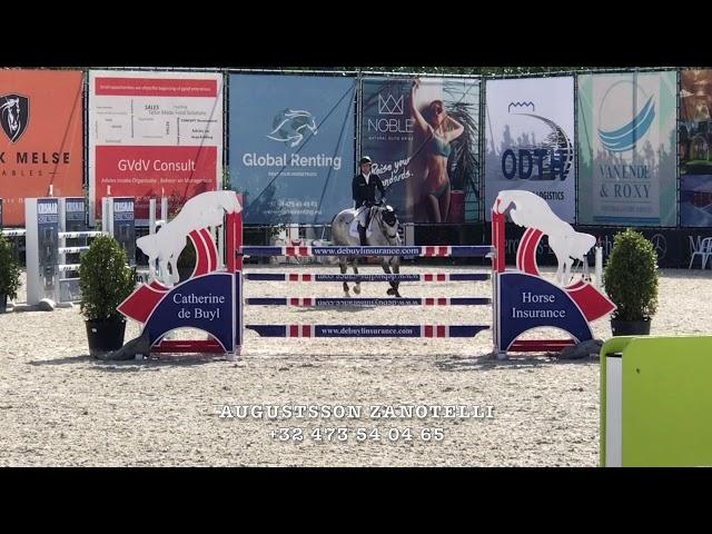 VDL Friso SMH 2010 gelding (Bugatti X Chin Chin)  7 years old class CSI*** Bonheinden.