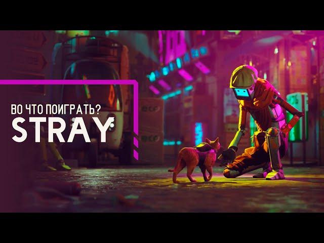 Во что поиграть? - Stray