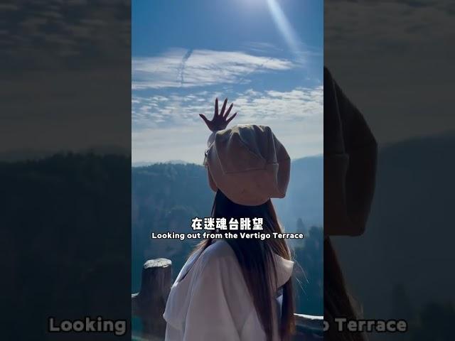 你们去张家界都玩对了吗？#张家界旅游攻略 #张家界天门山 #旅行大玩家 #旅游