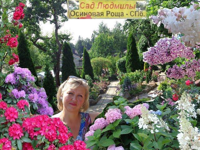 САД  ЛЮДМИЛЫ ТУРУБАНОВОЙ - КОРНЕЕВОЙ В ОСИНОВОЙ РОЩЕ