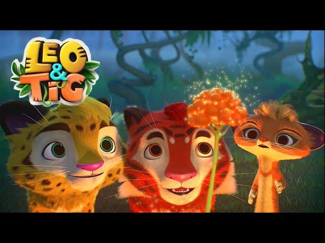 Leo and Tig  New friend  Funny Family Good Animated Cartoon for Kids