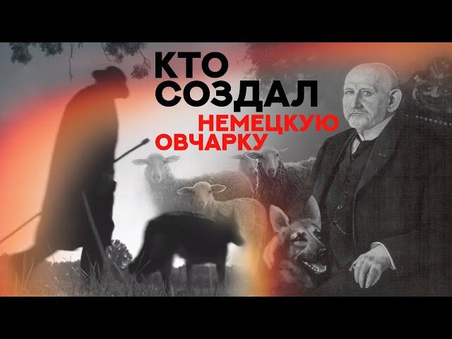 Немецкая Овчарка. Кто создал эту породу? Who created the German Shepherd?