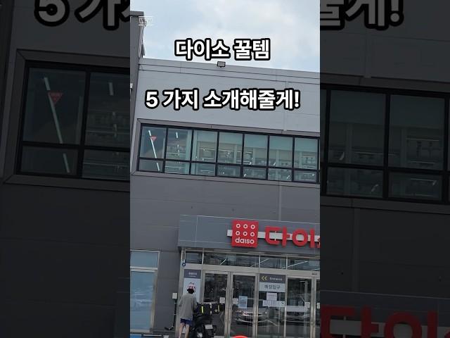 다이소 5가지 추천템 - 25년 6월 최신 #다이소 #다이소신상 #다이소템