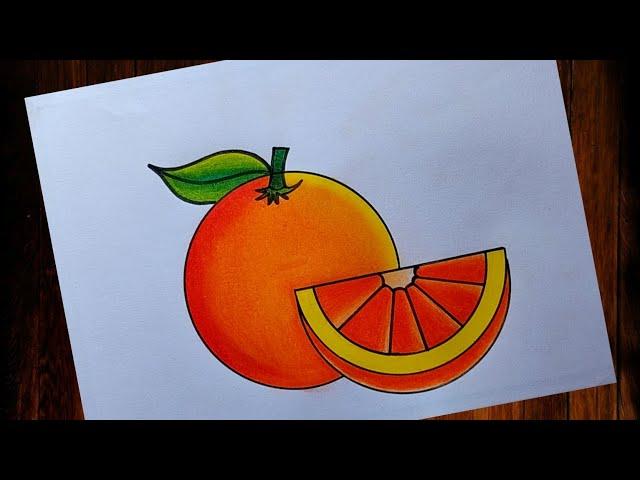 How to draw Orangeeasy steps| Easy orange drawing | Orange Fruits drawing