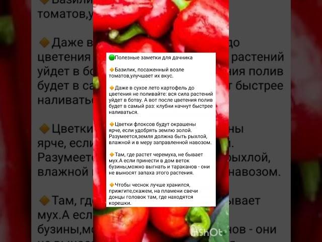 советы огородникам и дачникам по выращиванию культур