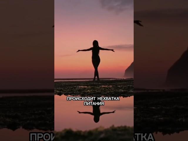 Зачем нужна гибкость #ӣогаонлаӣн #долголетие #саморазвитие #здоровье #медитация #антистресс