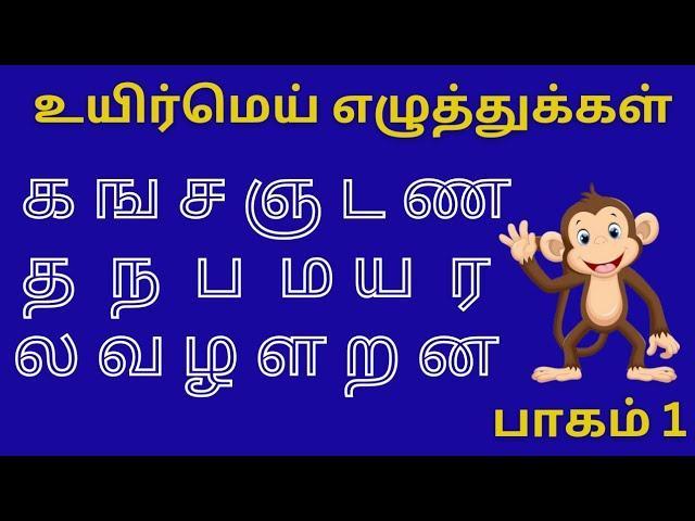 உயிர்மெய் எழுத்துக்கள்  பாகம் - 1 / uyirmei ezhthukkal / க ங ச ஞ ட ண த ந ப ம ய ர ல வ ழ ள ற ன்.