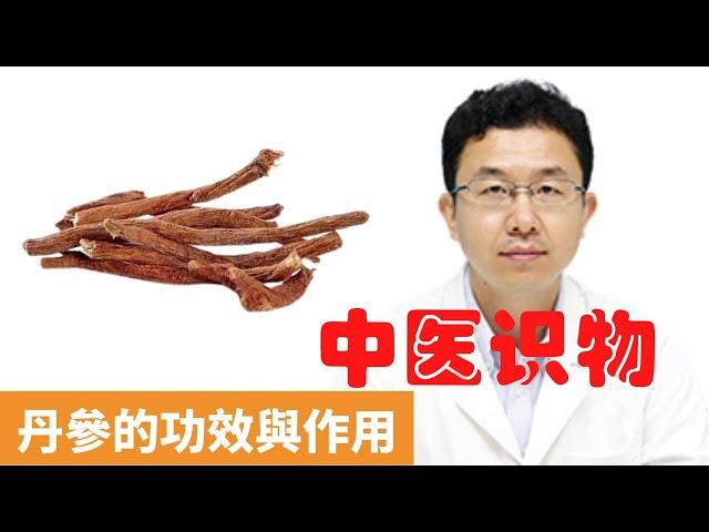 丹參的功效與作用【保健養生】生生不息┃改善心腦血管┃延緩衰老┃活血化瘀┃防治動脈硬化┃