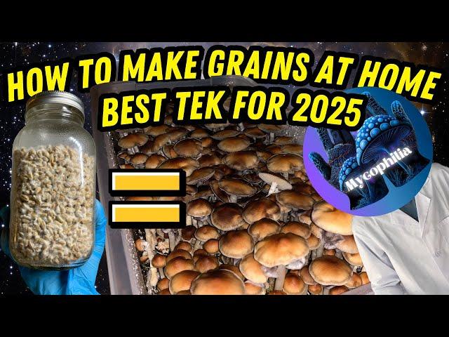  BROWN RICE TEK FULL GUIDE for Growing Mushrooms at Home in 2025, EASIEST Way to Start! 