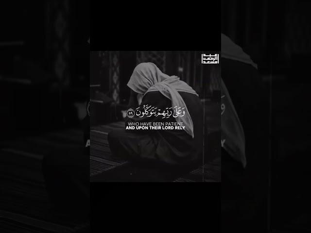 abdur Rahman mossad Quran recitation episode 17