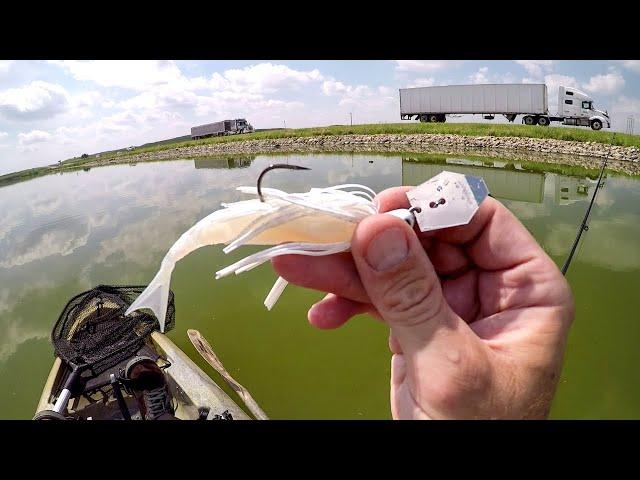 Chatterbait Fishing Roadside Pike!