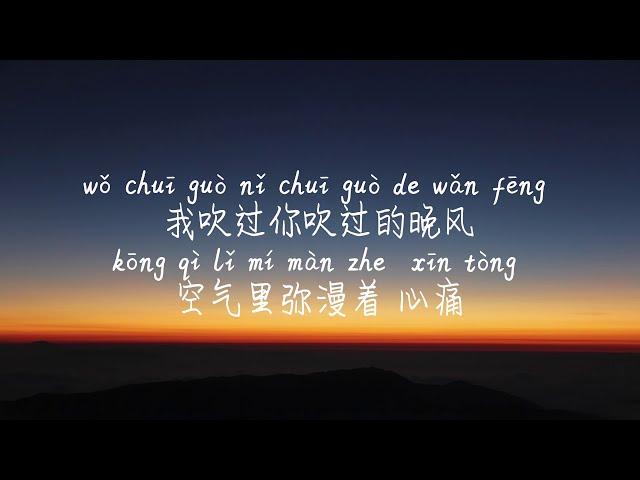 【错位时空-艾辰】CUO WEI SHI KONG-AI CHEN /TIKTOK,抖音,틱톡/Pinyin Lyrics, 拼音歌词, 병음가사/No AD, 无广告, 광고없음