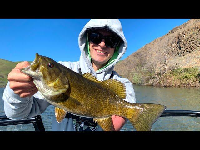 Spring Bass Fishing Oregon's BEST Smallmouth Bass Fishery (The John Day River)