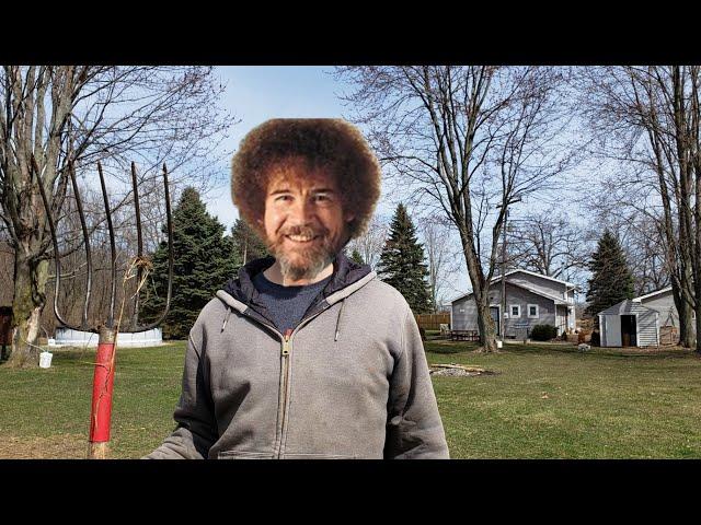 SSLFamilyDad Viewer Comments | "The Bob Ross Of Sustainable Living"