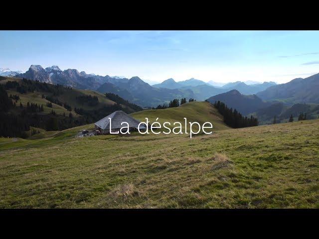 Terre de Traditions - La Désalpe