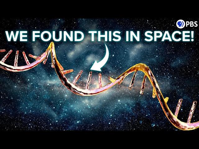 Your DNA's Codes Are (Almost Certainly) From Outer Space