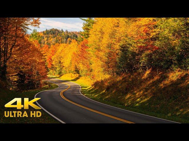 Utah Autumn Colors Mountain Scenic Driving 4K | Kolob Terrace Through Zion | Fall Relaxation