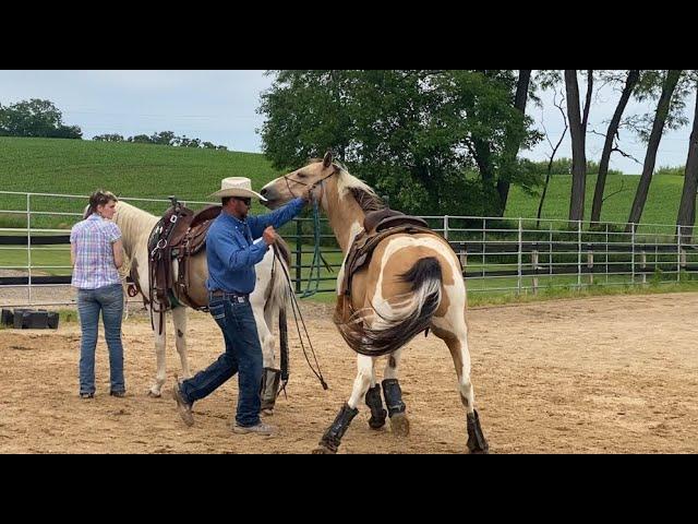 Horse with Severe Separation Anxiety