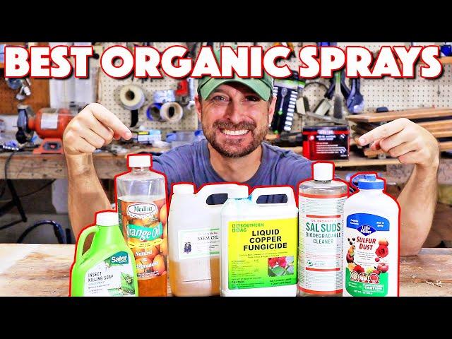 Organic Pest Control For Vegetable Garden! My TOP 8 Go To Sprays!