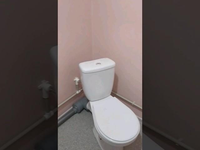 ДАЧНЫЙ ТУАЛЕТ! ЦИВИЛИЗАЦИЯ ДОШЛА И ДО НАС