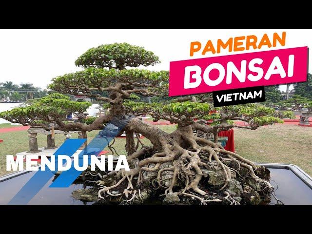 INSPIRASI BONSAI | PAMERAN BONSAI VIETNAM MENDUNIA YANG MENGINSPIRASI