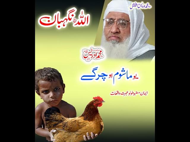Molana Muhammad Idrees Sahib   pashto bayan    یو ماشوم دَ چرگے واقعه