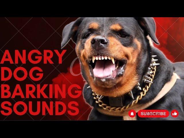 Epic Dog Barking Compilation: See How Your Dogs REACTS and Can't Resist!