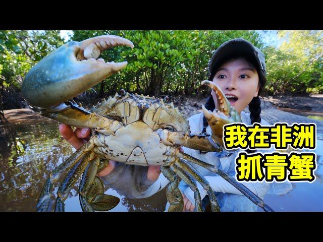在非洲抓青蟹，挖洞2米掏6斤大螃蟹，一锅水煮滋味鲜！| 赶海 | 螃蟹 | 海鲜 | 红树林 | 非洲 |