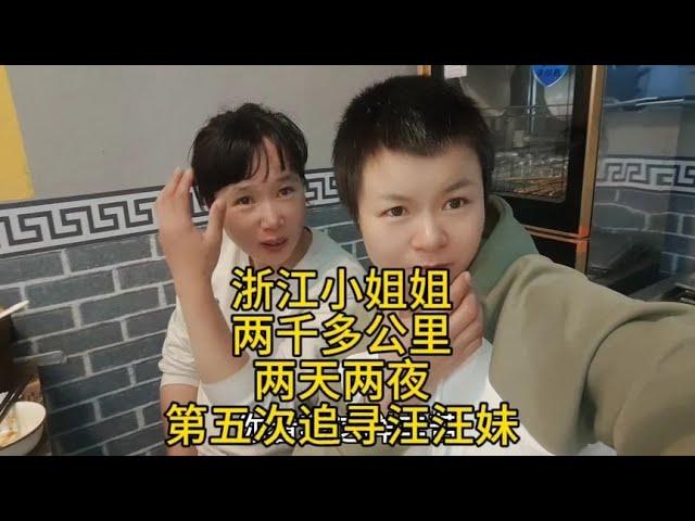 浙江小姐姐爱上汪汪妹，两千多公里两天两夜第五次千里追寻汪汪妹【汪汪妹流浪记】
