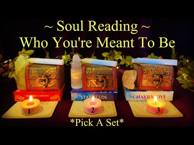 Who You Are Meant To Be Soul Reading ~ Pick A Set