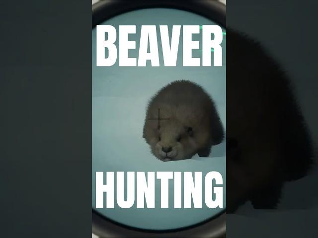 Sending beavers flying  | theHunter: Call of the Wild