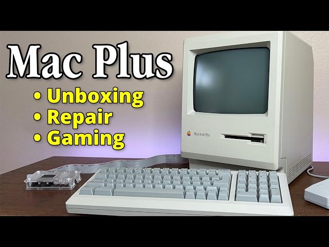 I bought a 1980's Macintosh Plus on eBay... Will it work?