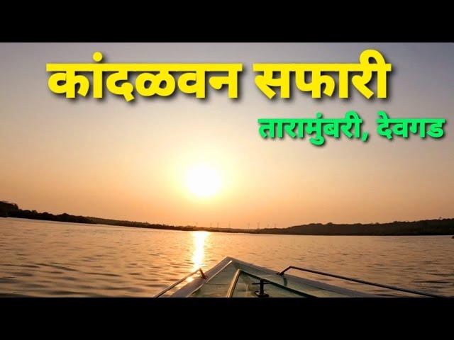 कोकणातील कांदळवन सफारी | तारामुंबरी, देवगड। Mangroves Safari in Devgad | Lungs of Sindhudurg