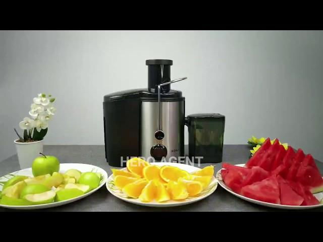 Sokany Stainless Steel Electric Juicer Extractor (SK4000)