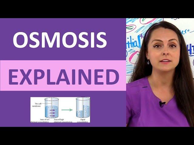 Osmosis Explained: Solutes and Osmolarity | What is Osmosis Nursing School Review NCLEX