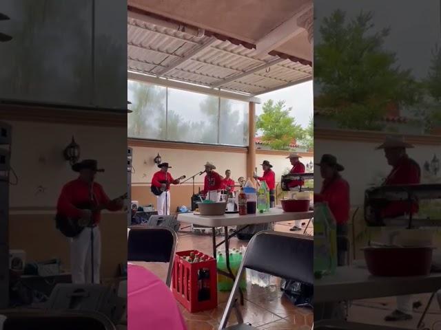 Banda Machos
