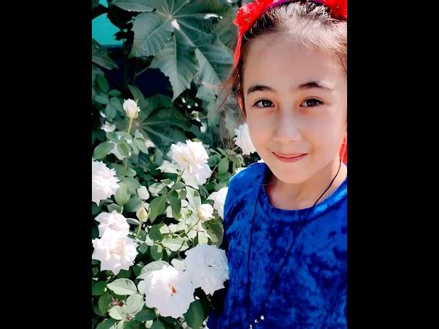 MARYAM N1