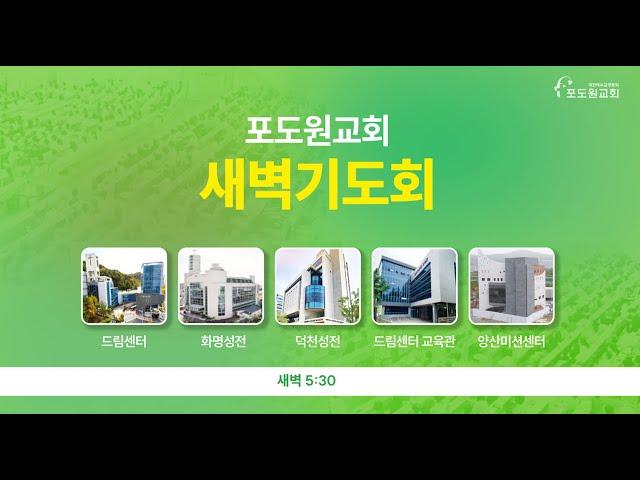 2025.06.19 포도원교회 새벽기도회(설교영상)